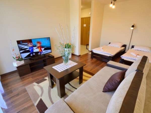 Apartament Antonio Apartment Zator Exterior photo
